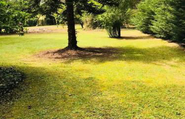 L’Appar(T) du Grand Bois - Jacuzzi - - Foto 34