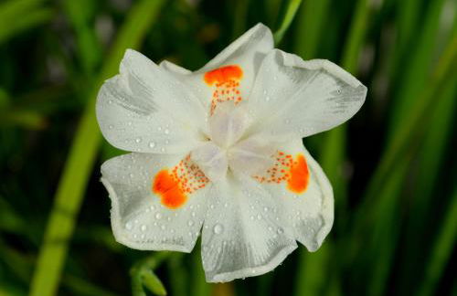 Residencial Portinari LTDA - Foto 49