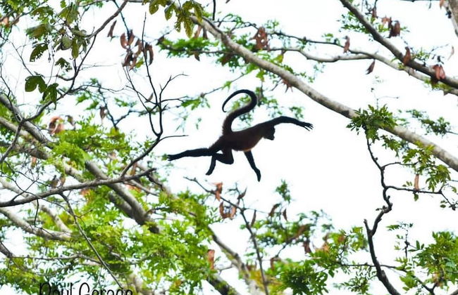 1-Bedroom Near Pool - Photo 56