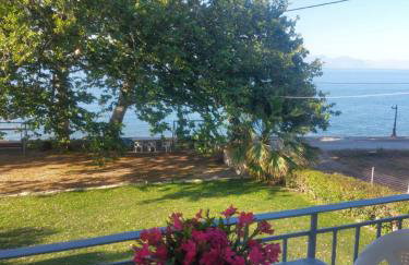 Skourtis Apartments - Foto 2