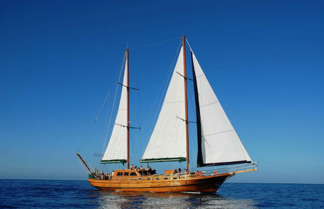 Southern Fuerteventura Schooner Cruise - Photo 4