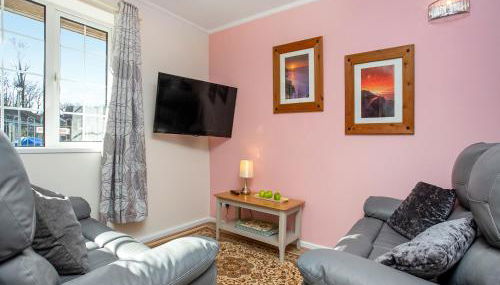 Bank Voles Nest - Uk45199 - Foto 3