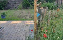 Gartenlaube - Foto 22