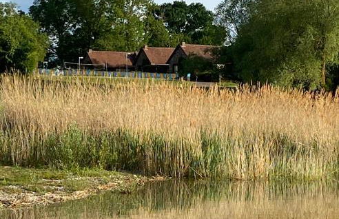 Les Cottages d'Orient Gite Boutique - Foto 18