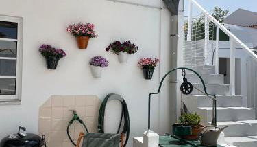 A Casa dos Raminhos - Foto 3