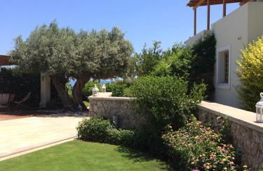 Xenon Estate - Photo 10