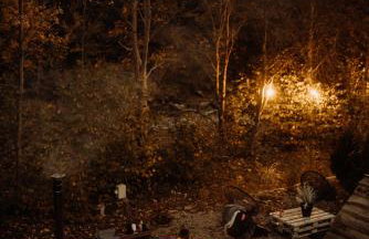 Szumilove Domki z saunami w Bieszczadach - Foto 22