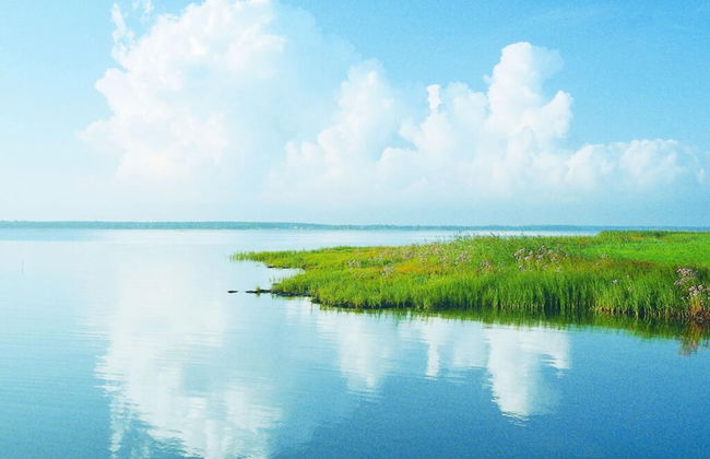 Old Shipman's House Comfortable Holiday Residence - Photo 3