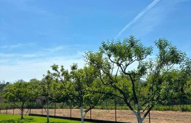 Apartman Abramović - Photo 49