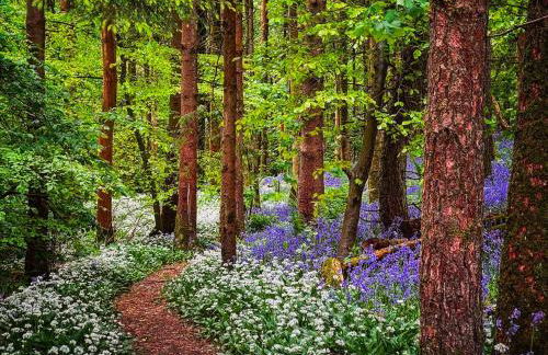 Langthwaite Cottage - Foto 33