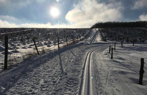 Ferienwohnung Brandenburger - Foto 46