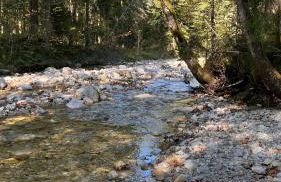 Villa am Goldbach - Foto 28