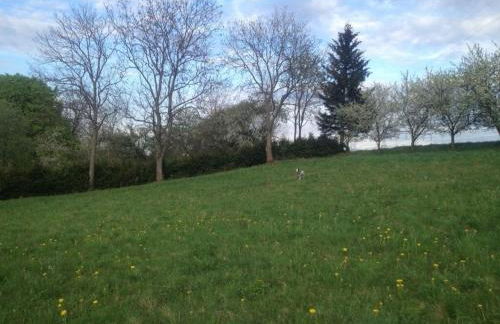 Jäschner Villa Luftig - Foto 22