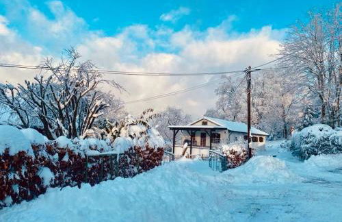 Vedders Berghütte - Foto 39