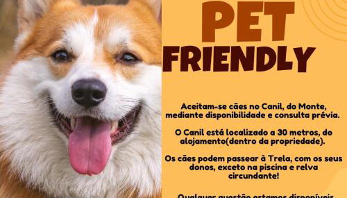 Monte das Palmeiras - Foto 2