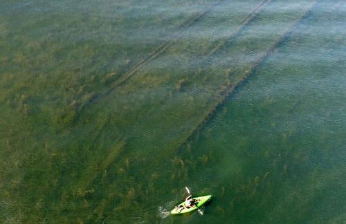 Hudson Ave Loft - Foto 11