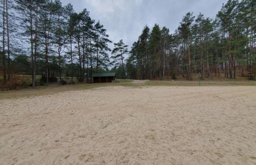 LEŚNY KĄCIK - Foto 56