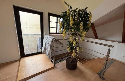 Apartment- Ferienwohnung neben Braunschweig - Foto 21