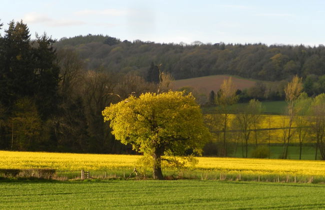 Comfy 4m -bed Bell Tent With Great Views - Foto 9