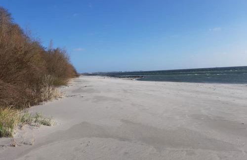 FeWo SANDKORN - Familien- Hunde - strandnah - große Loggia - Sauna & Wellness - Foto 29