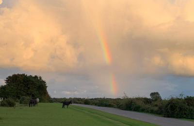 Heathfield Estate - Foto 51