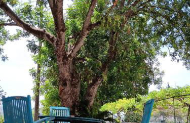 Magnolia Loft A spacious, authentic space with rustic charm - Foto 34