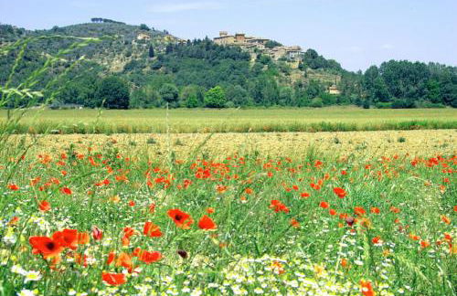 Casale Monticchio - Foto 59