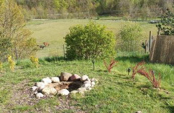 Zielenina Leśny Domek - Foto 29