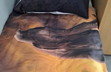 Ferienwohnung Hartmann - Foto 18