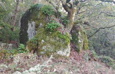 Charming House in Parada with Large Garden - Foto 49