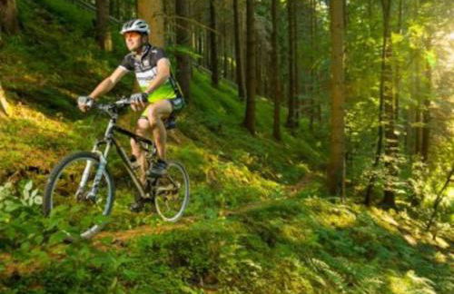 Ferienwohnung auf dem Dach des Frankenwaldes - Foto 23