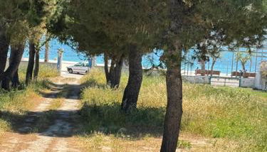 BlueLoft TorreCanne - Foto 1, Garden