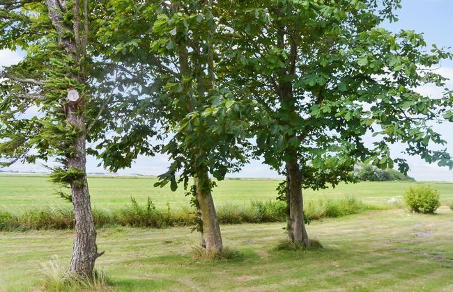 "Juuso" - 20km from the sea - Foto 11