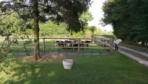 La Bocagère d' Henri - Photo 5