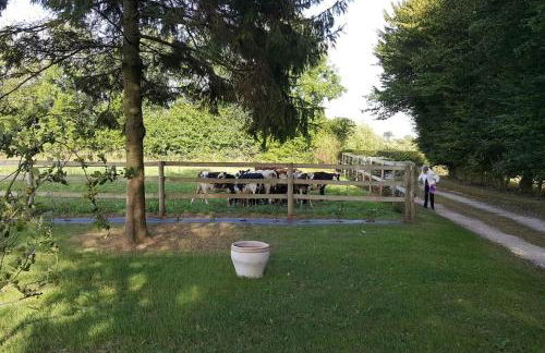 La Bocagère d' Henri - Photo 5