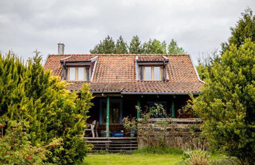 Cisza żurawi - Foto 17