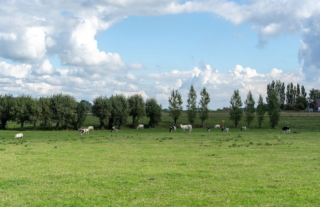 Peaceful Villa With Pond - Photo 35
