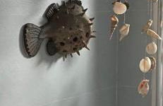 Eterna Primavera, a 40m de la piscina natural - Foto 23