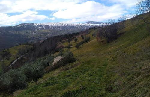 Casa nei 3 alberi, Molise - Foto 30