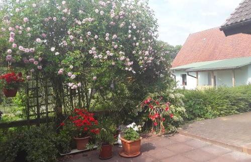 Ferienwohnung am Hufegraben - Foto 5