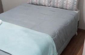 AP 22 hortência - Foto 2