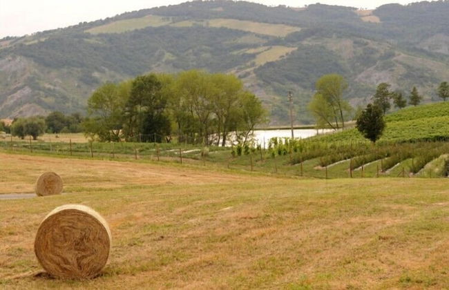 Pianderna Agriwellness - Foto 29