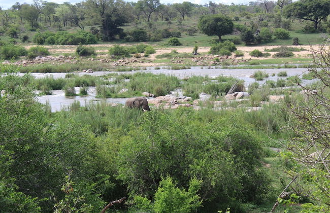 Roundhouse Marloth - Foto 19