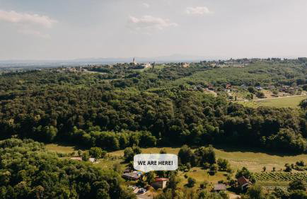 Holiday Home Arcadia with pool, hot tub and sauna - Foto 51