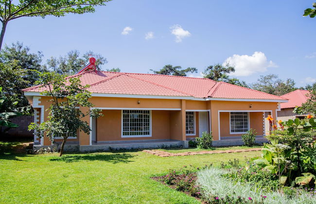 The Backyard Lodge - Foto 1