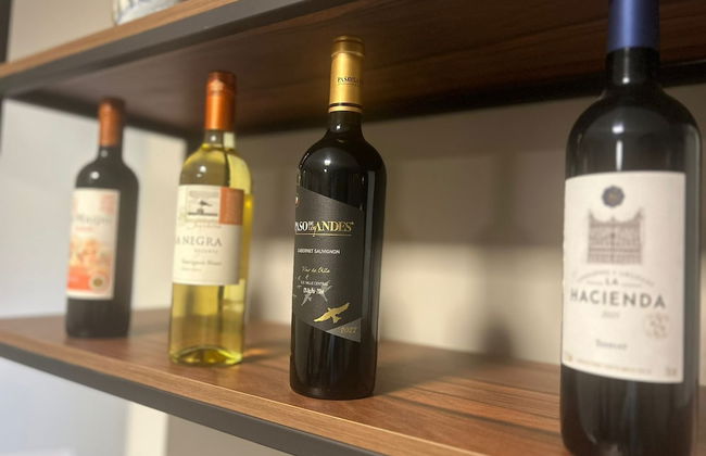 GEMINADO CASA 2 ALTO PADRÃO 3 QUARTOS - Foto 9