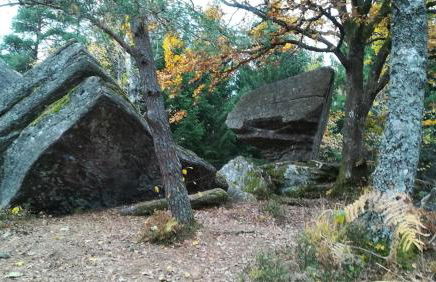 Eco-friendly chalet with private hot tub, Vosges mountain - Foto 21