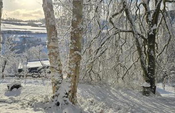 Auszeyt Edersee für Zwei - Foto 23