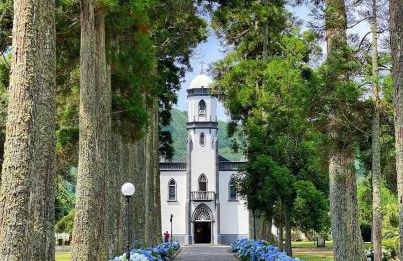 The Cedar Tree Studio - Photo 15