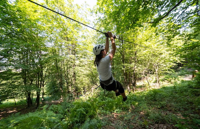 Malak Farma - Foto 25